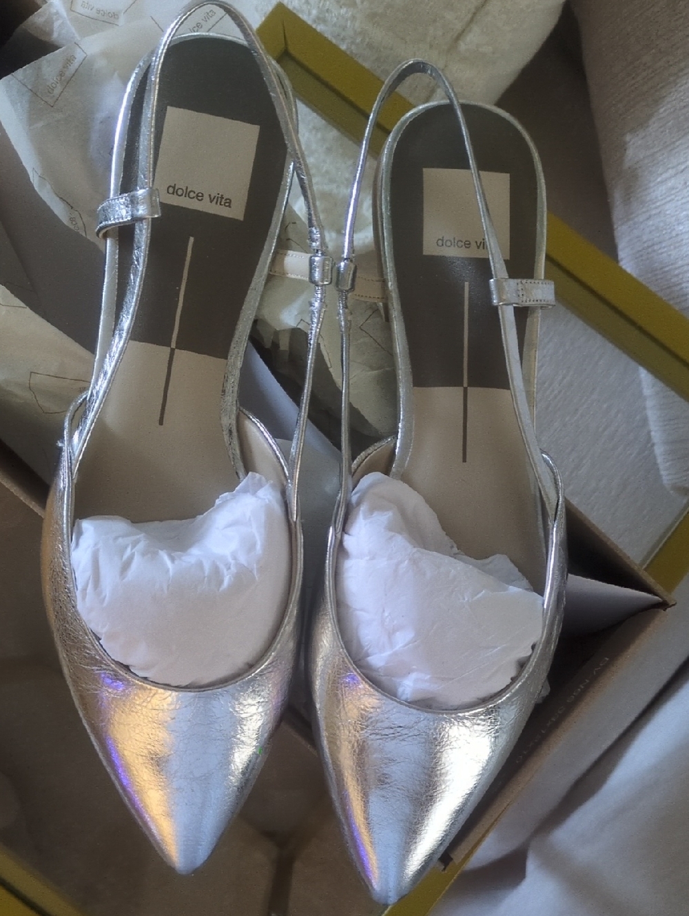 Dolce Vita Silver Pointed Slingback Sandals/Flats